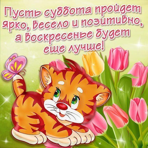 Позитивное Поздравление Доброго Дня Позитивное Поздравление Доброго Дня