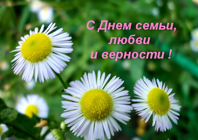 Открытки Открытки с поздравлениями ко Дню семьи. С Днём семьи открытки. Открытки с поздравлениями ко Дню семьи. С Днём семьи открытки. Красивые открытки смотреть онлайн бесплатно. Поздравления на День семьи. Праздник всех семей мира.