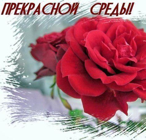 Открытки на среду скачать. Открытки на среду с пожеланиями бесплатно. Удачной...