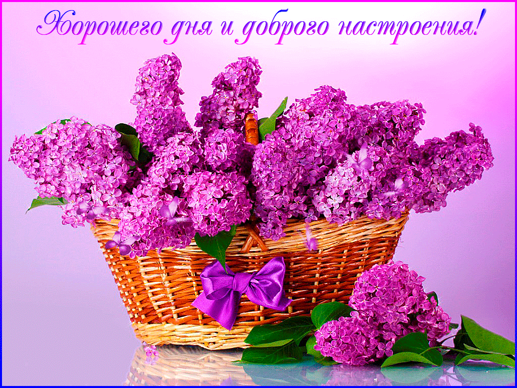 Открытки с надписью - хорошего дня! Открытки на каждый день.