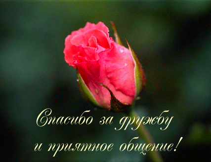 Открытки друзьям с благодарностями за дружбу. Открытки для друзей.