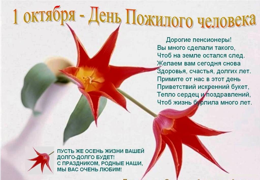 Открытки Открытки с поздравлениями на День пожилых людей. С Днём пожилых людей! Открытки с поздравлениями на День пожилых людей. С Днём пожилых людей! Красивые открытки смотреть онлайн бесплатно. Поздравления С Днём Пожилых Людей. Поздравить бабушку и дедушку.