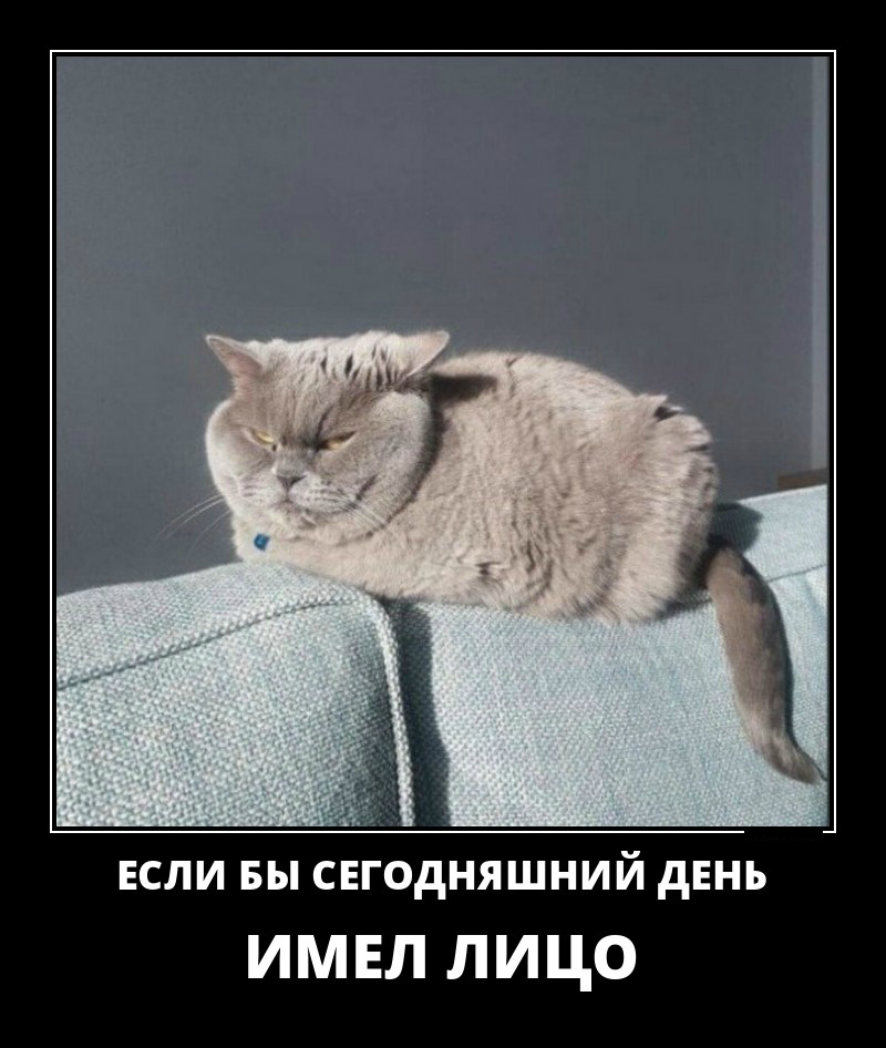 Открытки демотиваторы. Прикольные открытки в демотиваторах. 