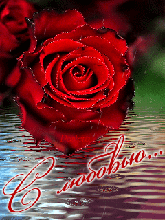 Открытки с цветами с надписью - С любовью! Цветы с любовью, открытки для женщин.