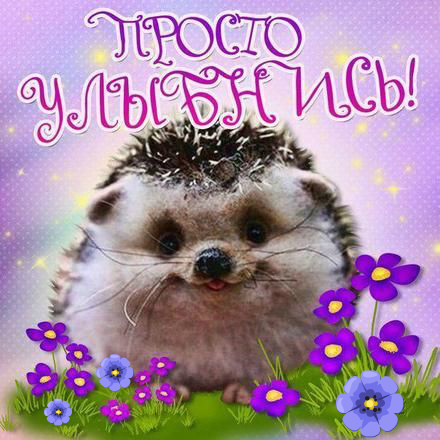 Открытки Открытки для улыбки. Пожелания хорошего настроения и улыбок. Открытки для улыбки. Пожелания хорошего настроения и улыбок. Красивые открытки смотреть онлайн бесплатно. Пожелания улыбок для родных и близких. Улыбнись миру!!