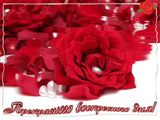 Открытки с пожеланием удачного воскресенья. Открытки на воскресенье.