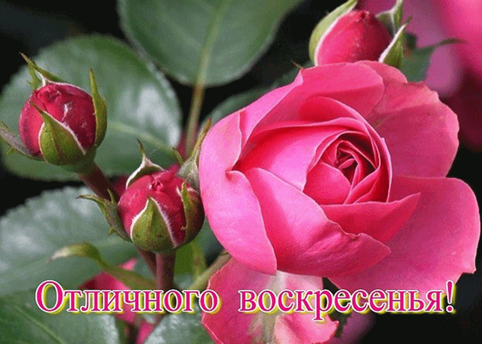 Открытки с пожеланием удачного воскресенья. Открытки на воскресенье.