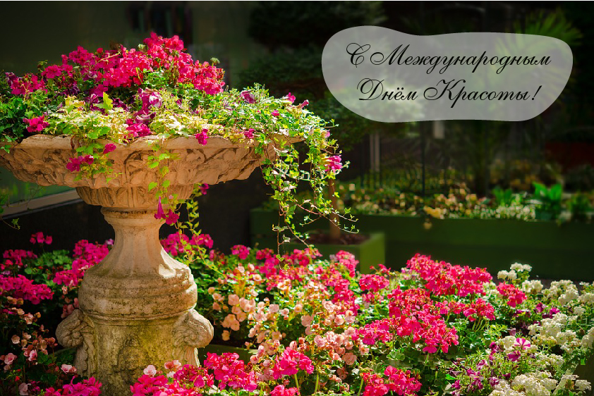 Открытки Поздравления с международным Днём Красоты. С Днём Красоты!!! Поздравления с международным Днём Красоты. С Днём Красоты!!! Красивые открытки смотреть онлайн бесплатно. Открытки с поздравлениями с международным Днём Красоты.