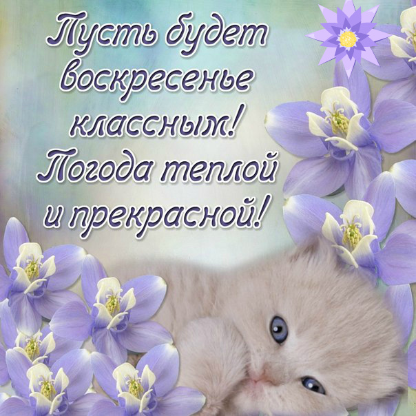 Открытки с пожеланием удачного воскресенья. Открытки на воскресенье.