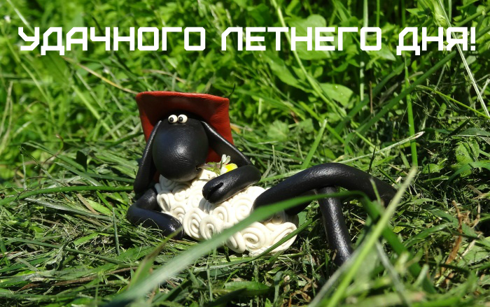Открытки на лето. Пожелания хороших летних дней. Летние открытки.