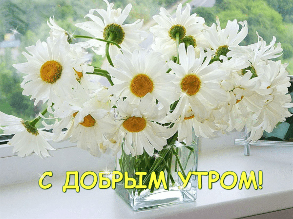 Открытки с надписью - доброе утро.  Открытки с добрым утром. 