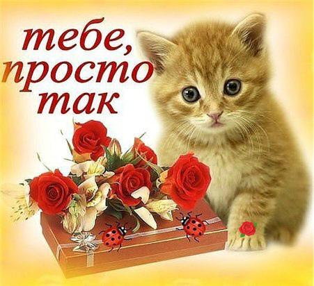 Открытки с цветами и надписью - просто так! Открытки для женщин.