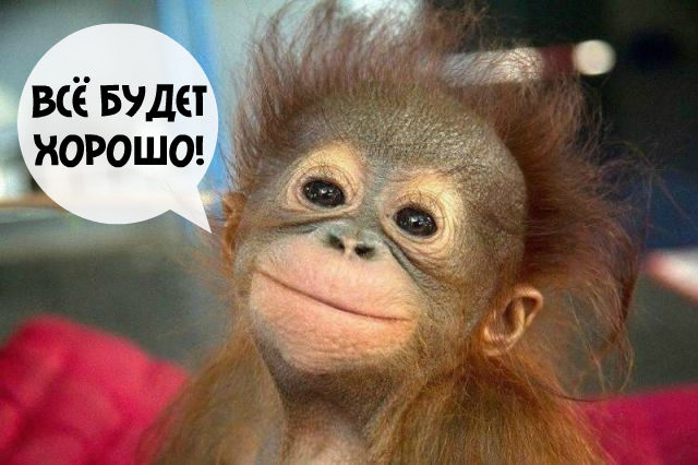 Открытки Открытки - всё будет хорошо! Приободрить словами - всё будет хорошо!  Открытки - всё будет хорошо! Приободрить словами - всё будет хорошо! Красивые открытки смотреть онлайн бесплатно. Поднять настроение родным и близким. Всё будет хорошо!