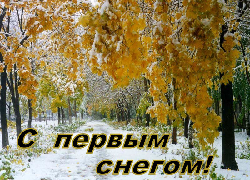 Открытки Открытки к первому снегу. Поздравления с первым выпавшим снегом. Открытки к первому снегу. Поздравления с первым выпавшим снегом. Красивые открытки смотреть онлайн бесплатно. Первый снег поздравления для родных и близких. С первым снегом!