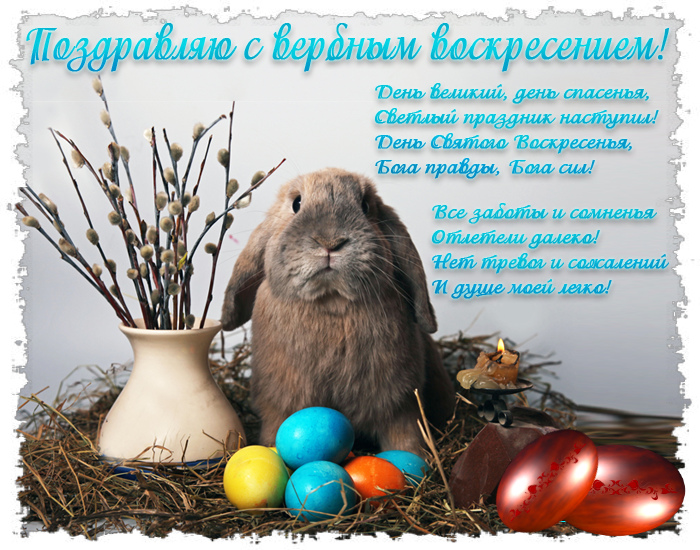 Открытки Открытки с поздравлениями на Вербное Воскресенье. С Вербным Воскресеньем! Открытки с поздравлениями на Вербное Воскресенье. С Вербным Воскресеньем! Красивые открытки смотреть онлайн бесплатно. Поздравления на Вербное Воскресенье. Верба.