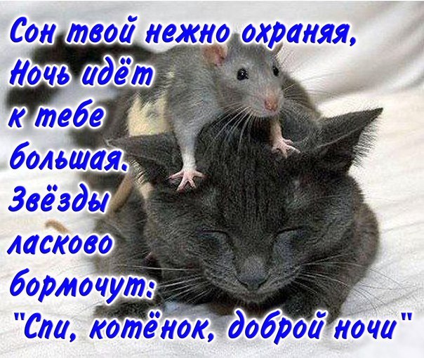 Открытки с пожеланиями для любимых. Открытки для второй половинки.