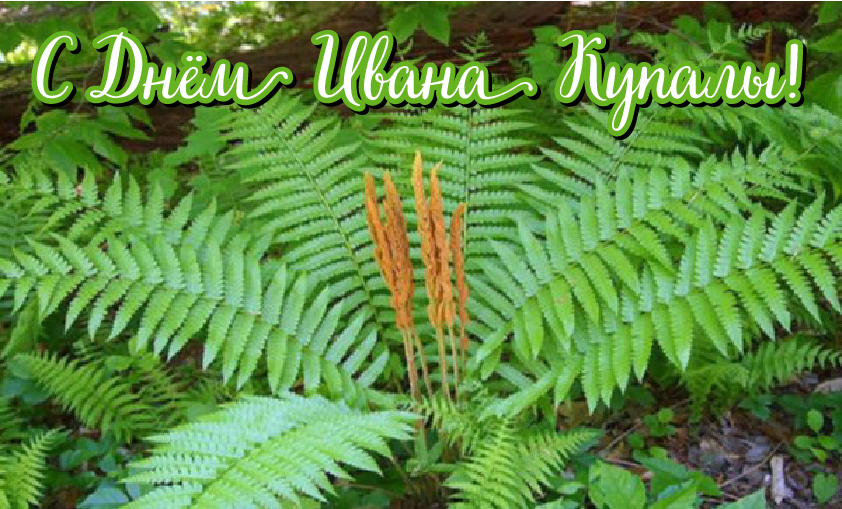 Открытки с поздравлениями ко Дню Ивана Купала. С Днём Ивана Купала!