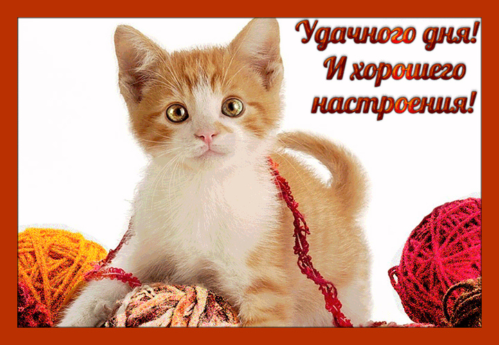 Открытки на каждый день - удачного дня! Открытки с пожеланием удачного дня.