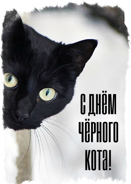 Открытки Открытки с поздравлениями ко Дню чёрного кота. С Днём чёрного кота! Открытки с поздравлениями ко Дню чёрного кота. С Днём чёрного кота! Красивые открытки смотреть онлайн бесплатно. Поздравления на День Чёрного кота. Чёрный кот праздник.