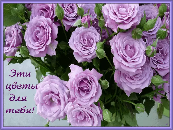 Красивые открытки с цветами с надписью - для тебя. Цветы для тебя.