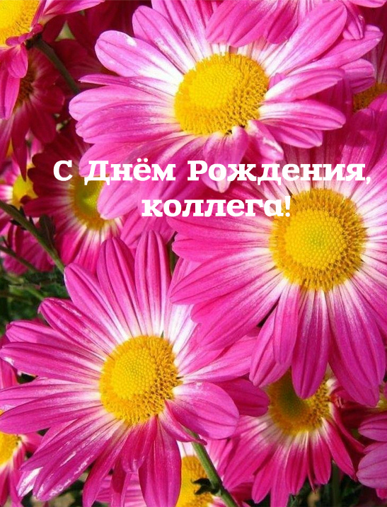 Открытки с поздравлением на День Рождения коллеге. Открытки коллеге.