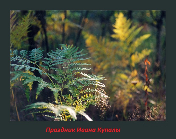 Открытки с поздравлениями ко Дню Ивана Купала. С Днём Ивана Купала!