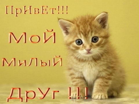 Открытки с приветствием друзей. Открытки для друга и подруги.