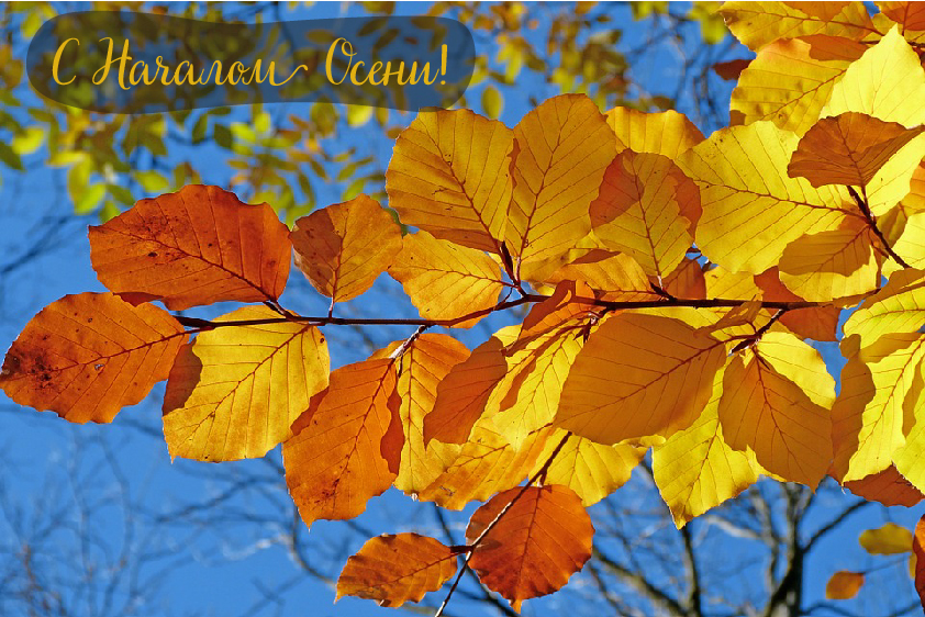 Открытки с поздравлениями с началом осени. Начало осени открытки.
