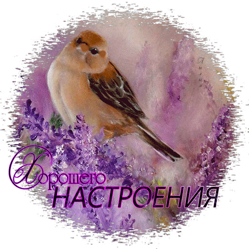 Открытки для хорошего настроения. Красивые открытки - хорошего настроения.