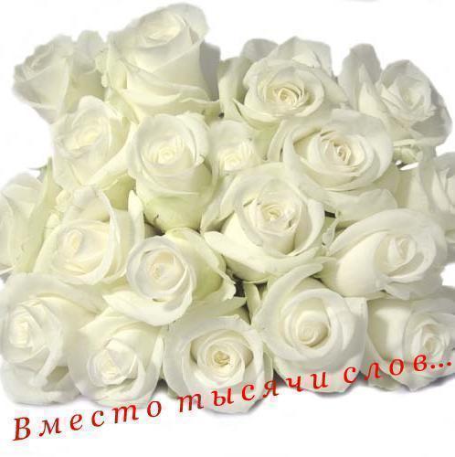 Открытки с цветами и надписью - вместо 1000 слов. Открытки для женщин.