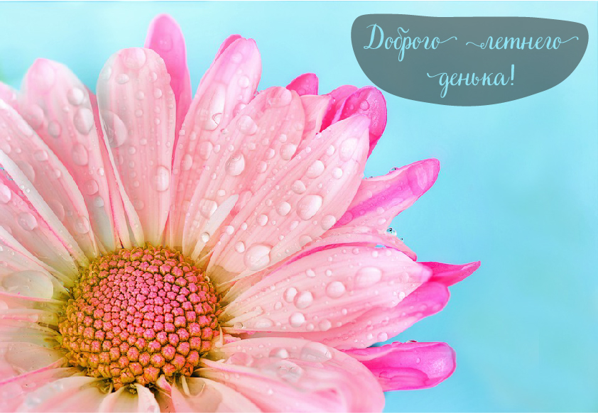 Открытки на лето. Пожелания хороших летних дней. Летние открытки.