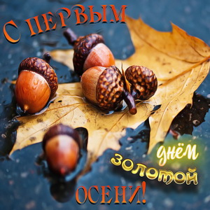 Открытки с поздравлениями с началом осени. Начало осени открытки.