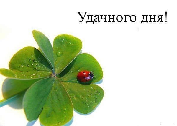 Открытки на каждый день - удачного дня! Открытки с пожеланием удачного дня.