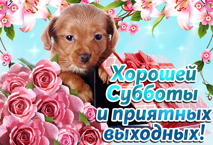 Открытки с пожеланием удачной субботы. Открытки на субботу. 