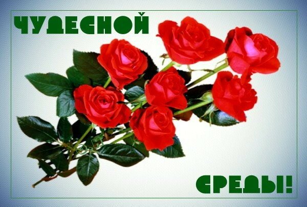 Открытки на среду скачать. Открытки на среду с пожеланиями бесплатно. Удачной...