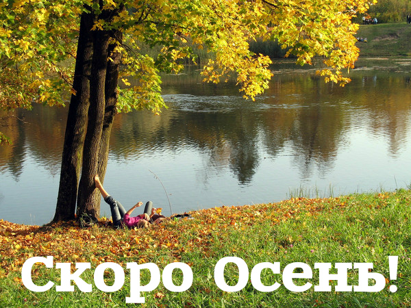 Открытки Открытки в преддверии осени. Скоро осень поздравления. Осень близко. Открытки в преддверии осени. Скоро осень поздравления. Осень близко. Красивые открытки смотреть онлайн бесплатно. Скоро осень открытки в преддверии осени. Осень.