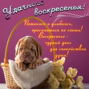 Открытки Открытки с пожеланием удачного воскресенья. Открытки на воскресенье. Открытки с пожеланием удачного воскресенья. Открытки на воскресенье. Красивые открытки - удачного воскресенья смотреть онлайн бесплатно. Открытки по дням недели.