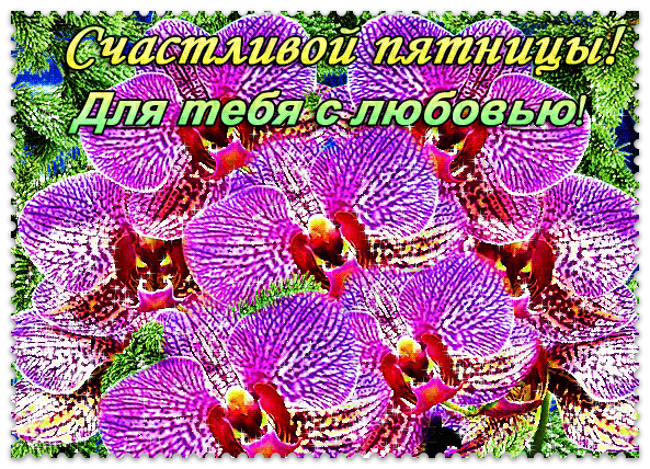 Открытки с пожеланием удачной пятницы. Открытки на пятницу. 