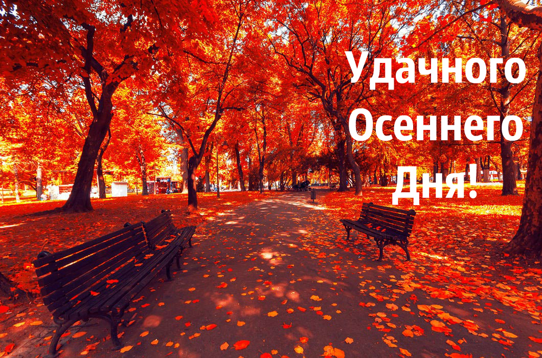Открытки Открытки на осень. Осенние открытки. С осенью поздравления.  Открытки на осень. Осенние открытки. С осенью поздравления. Красивые открытки смотреть онлайн бесплатно. Хорошего осеннего дня и осеннего утра. Осенние открытки для близких.