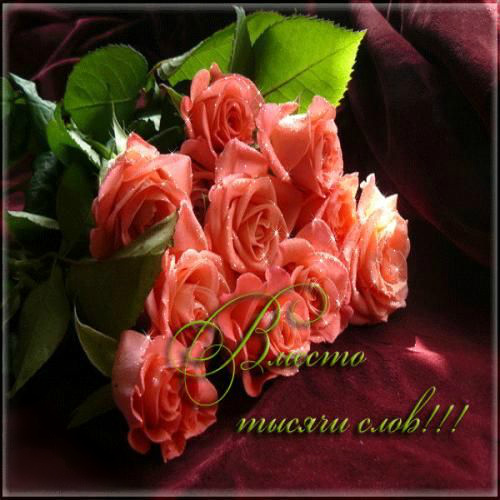 Открытки с цветами и надписью - вместо 1000 слов. Открытки для женщин.