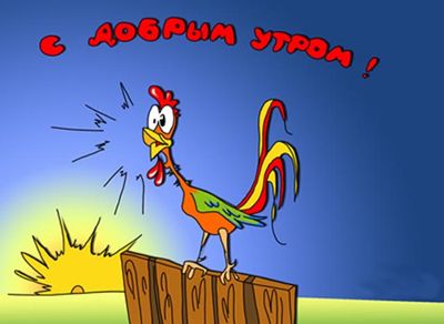 Открытки с прикольными пожеланиями. Прикольные пожелания. Юмор.