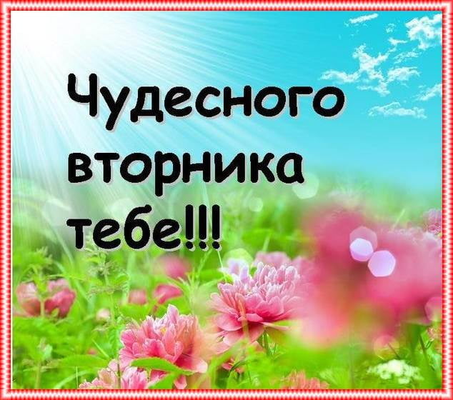 Открытки с пожеланием удачного вторника. Хорошего вторника. 