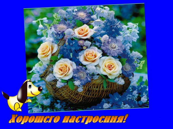 Открытки с цветами для хорошего настроения. Открытки для женщин.