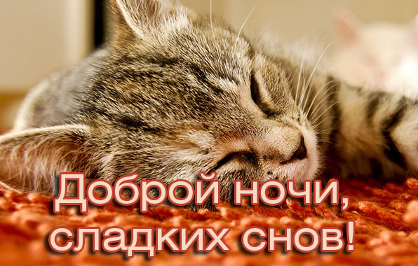 Открытки с надписью - доброй ночи! Открытки с пожеланием доброй ночи.