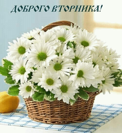 Открытки с пожеланием удачного вторника. Хорошего вторника. 