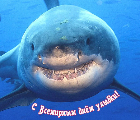 Открытки с поздравлениями на День улыбки. С Днём улыбки. Праздник.