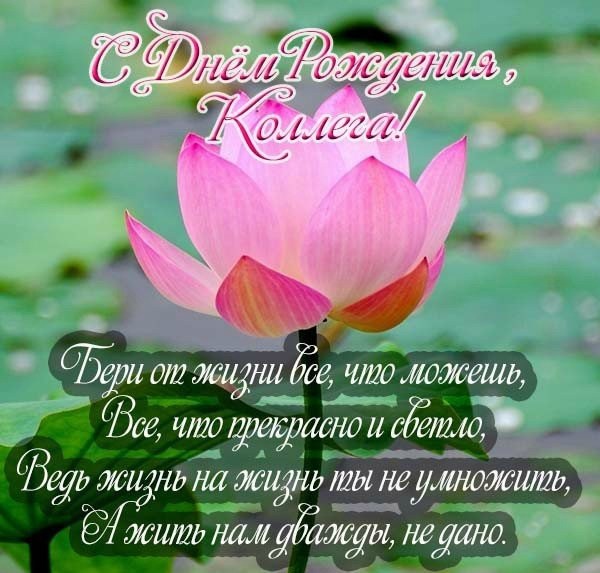 Открытки с поздравлением на День Рождения коллеге. Открытки коллеге.