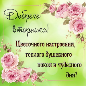 Открытки с пожеланием удачного вторника. Хорошего вторника. 