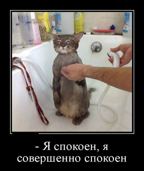 Открытки демотиваторы. Прикольные открытки в демотиваторах. 