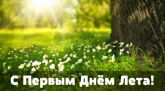 Открытки Открытки с поздравлениями с первым днём лета. Первый день лета. Открытки с поздравлениями с первым днём лета. Первый день лета. Красивые открытки смотреть онлайн бесплатно. Открытки к первому дню лета. Пожелания хорошего лета.